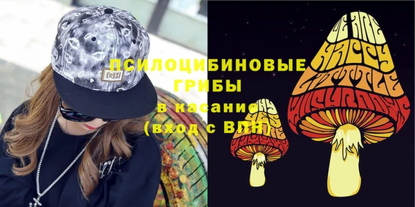 прущие грибы Армянск