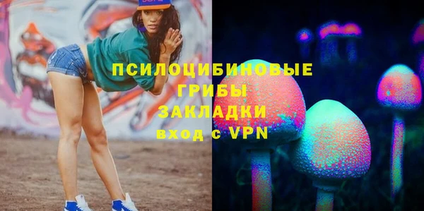 прущие грибы Армянск