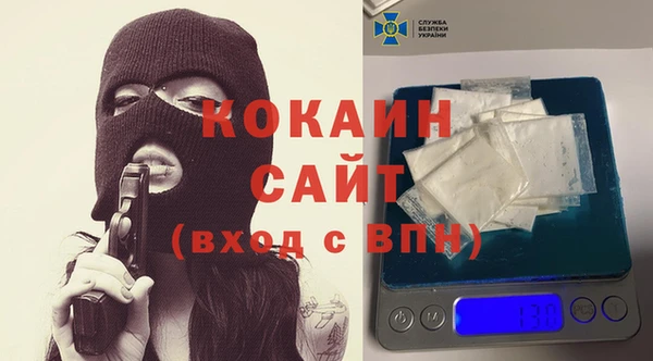 прущие грибы Армянск