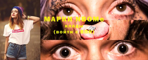 прущие грибы Армянск