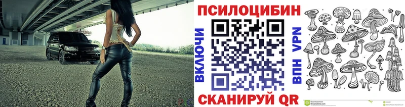 где продают   Малоархангельск  ссылка на мегу маркетплейс  мориарти наркотические препараты  Галлюциногенные грибы Psilocybine cubensis 